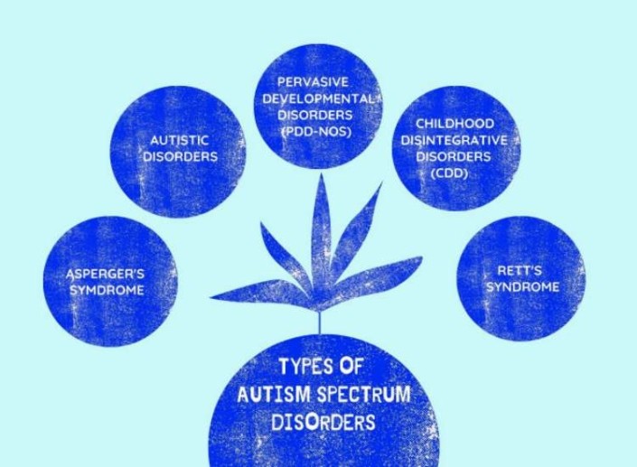 Different Types of Autism Spectrum Disorders | Autism Wing