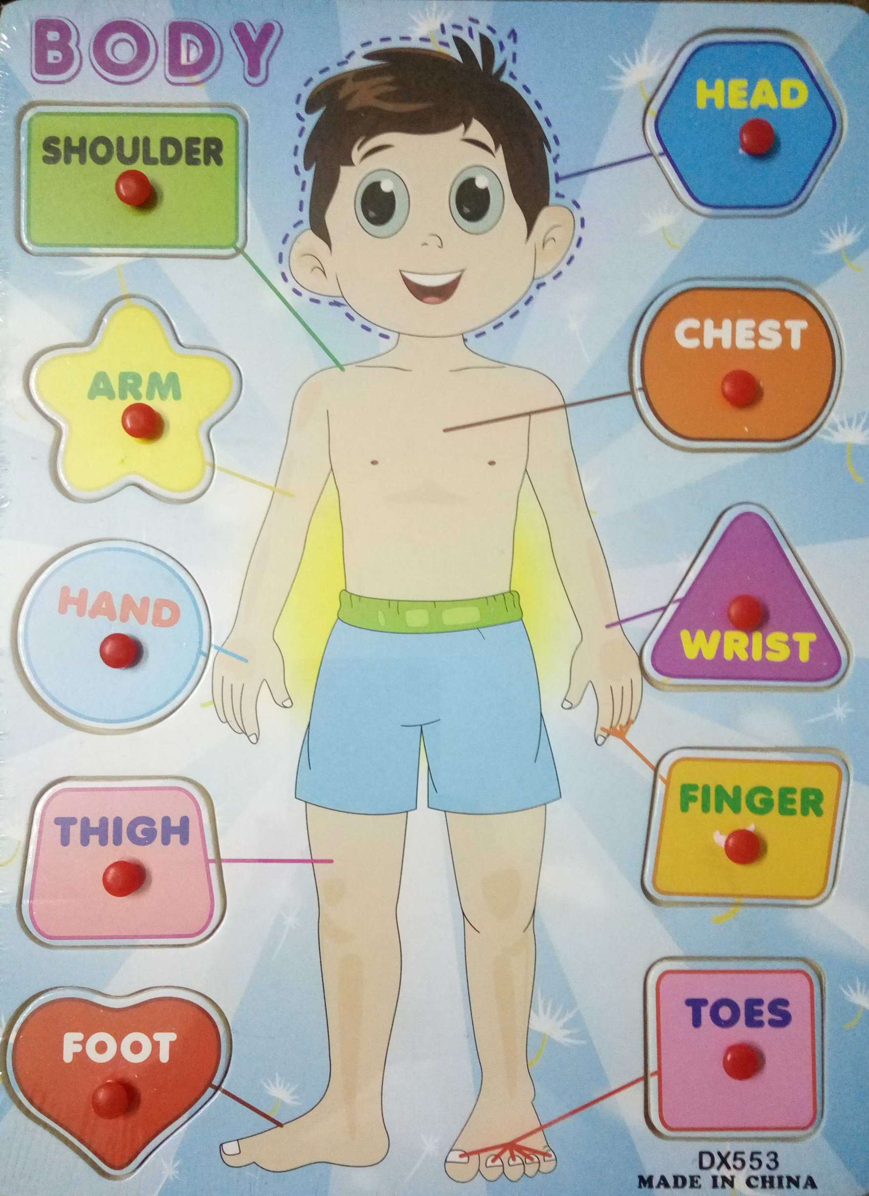 Body Parts-Boy – Autism Wing