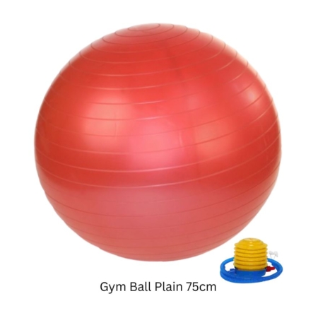 Gym Ball Plain 75cm