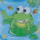 Mini Jigsaw Puzzle - Frog