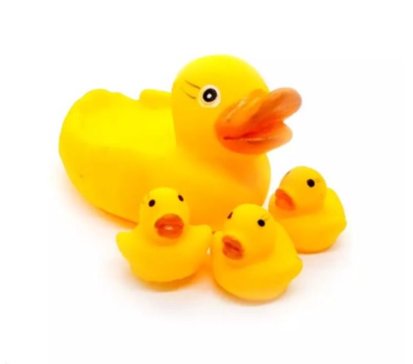 Rubber Duck Set