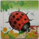 Mini Jigsaw Puzzle - Lady Bug