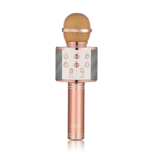 Wireless Microphone WS-858