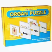 Jigsaw Puzzle - Organ Puzzle