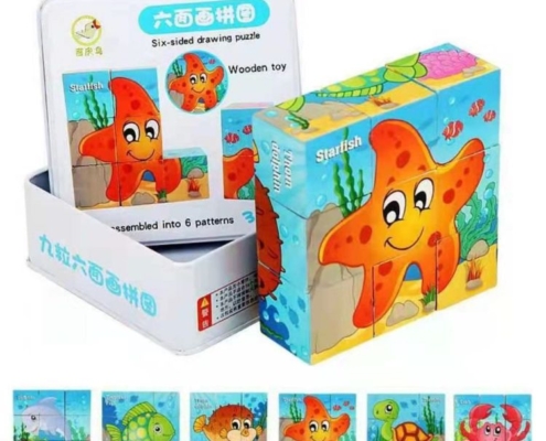 Six Sided Drawing Puzzle- Sea Animals