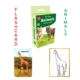 Flashcard - Animals