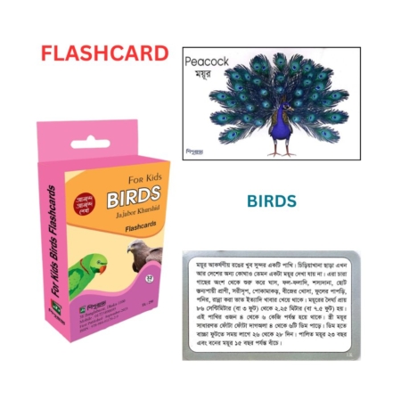 Flashcard - Birds