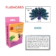 Flashcard - Birds