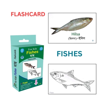 Flashcard - Fishes